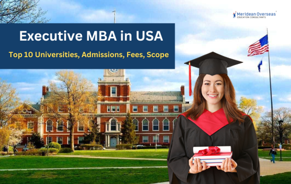 Executive MBA in USA